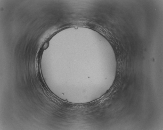 X0000066940294200604211757