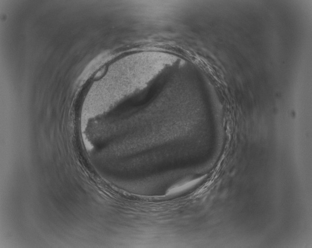 X0000066940295200604211757