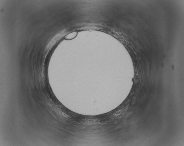 X0000066940296200604211757