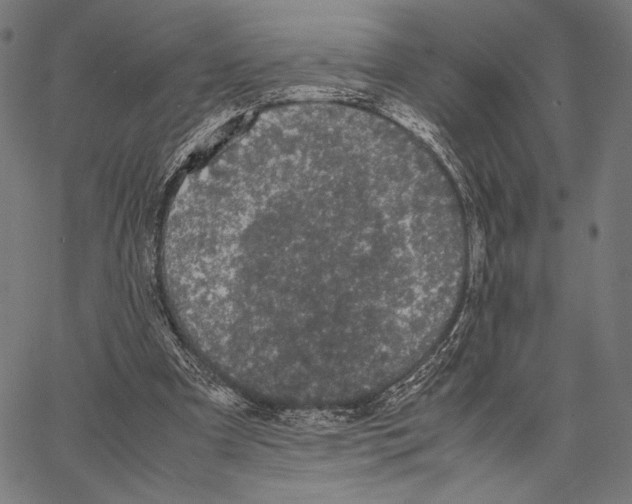 X0000066940297200604211757