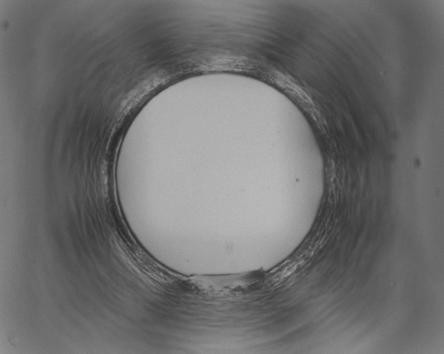 X0000066940298200604211757