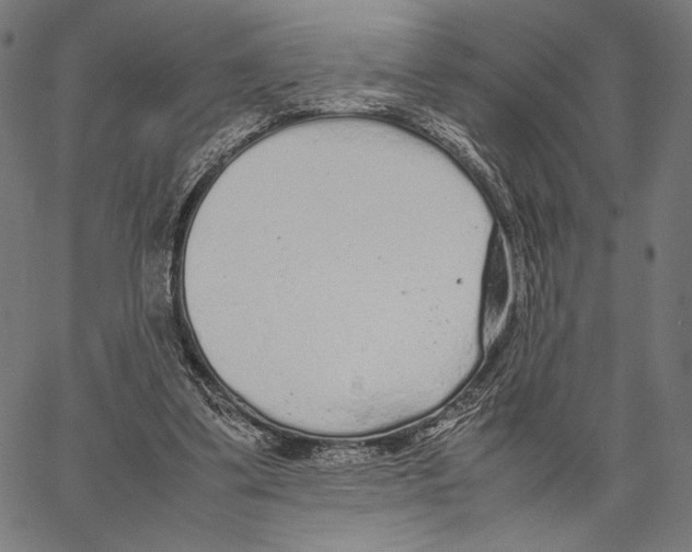 X0000066940299200604211757