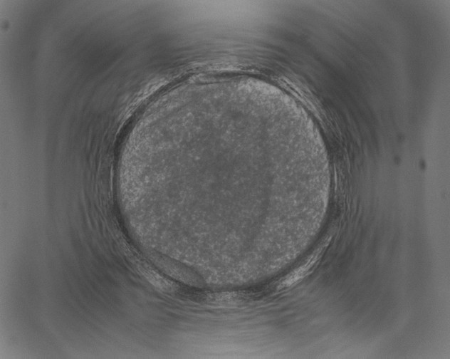 X0000066940301200604211757