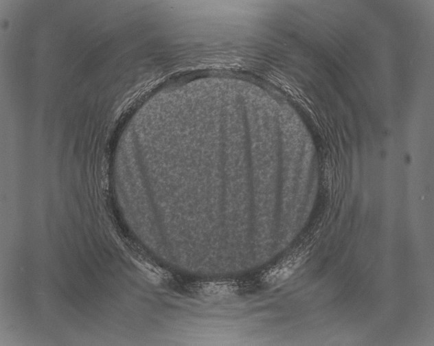 X0000066940303200604211757