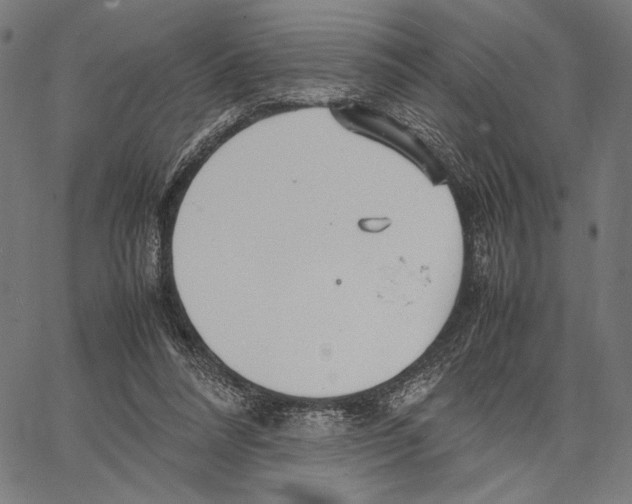 X0000066940304200604211757