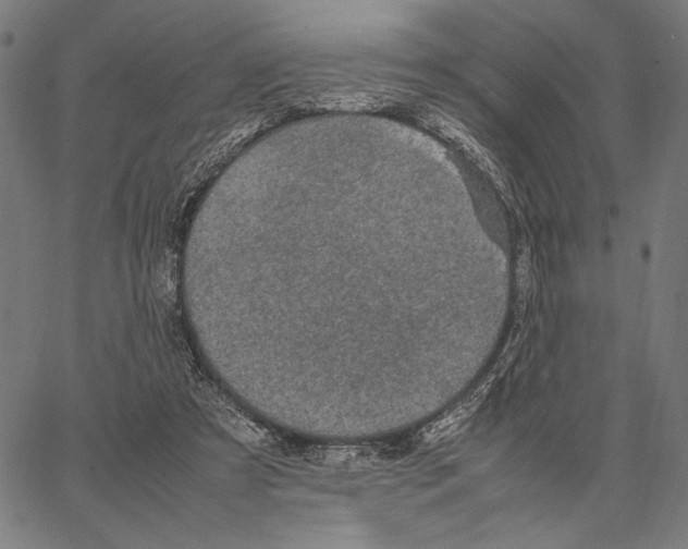 X0000066940305200604211756