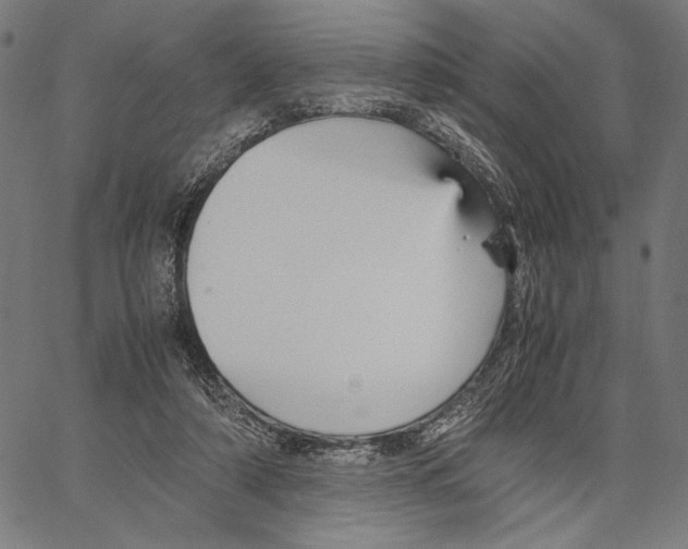 X0000066940306200604211756