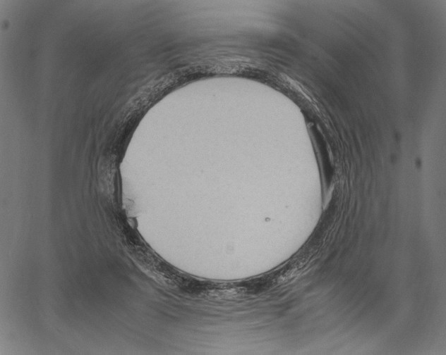 X0000066940307200604211756