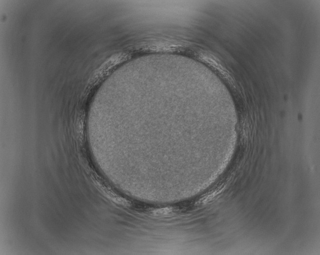 X0000066940309200604211756