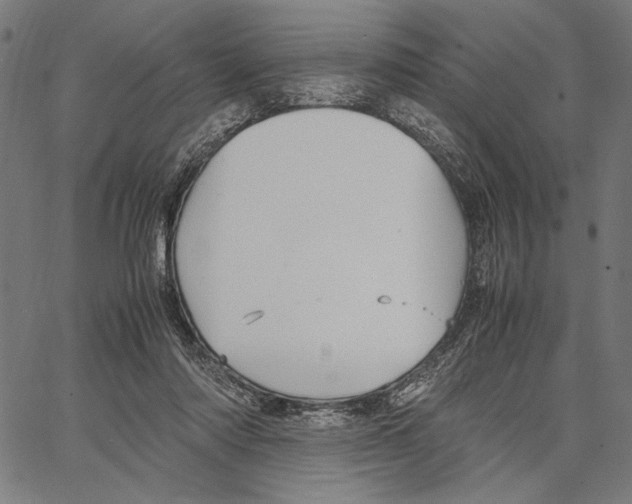 X0000066940310200604211756