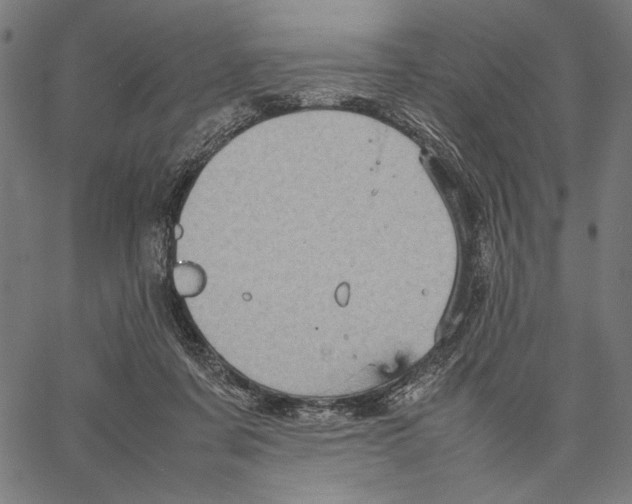 X0000066940311200604211756