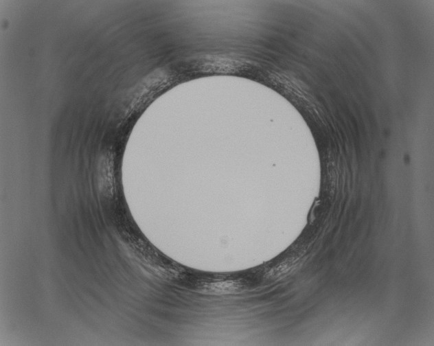 X0000066940312200604211756