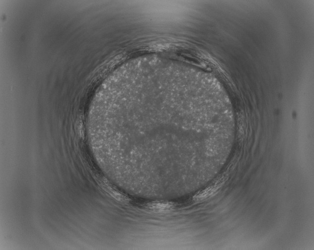 X0000066940313200604211756