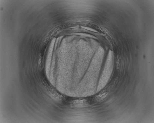 X0000066940314200604211756