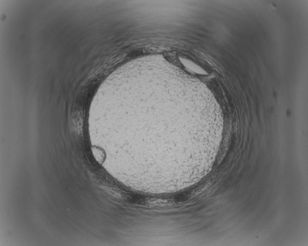 X0000066940315200604211756