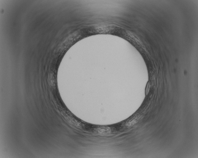 X0000066940317200604211756