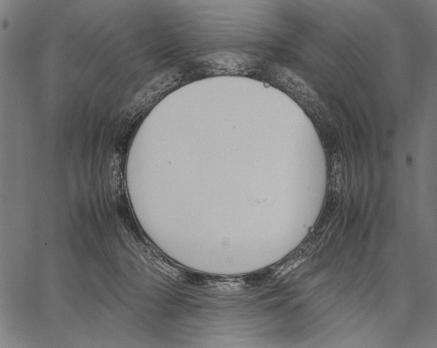 X0000066940318200604211756