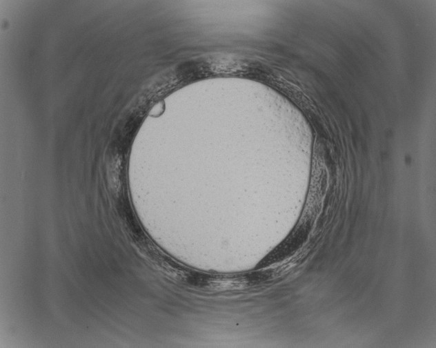 X0000066940319200604211756