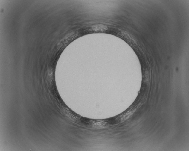 X0000066940321200604211756