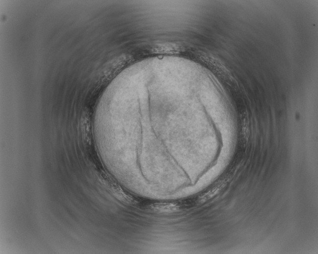 X0000066940322200604211756