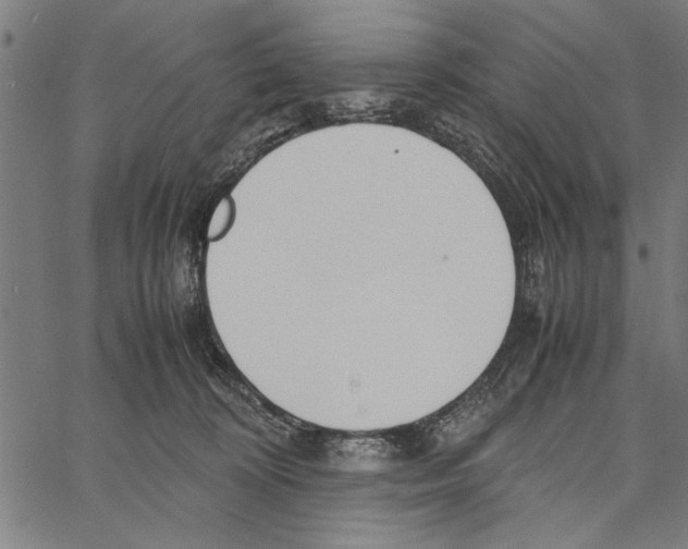 X0000066940324200604211756