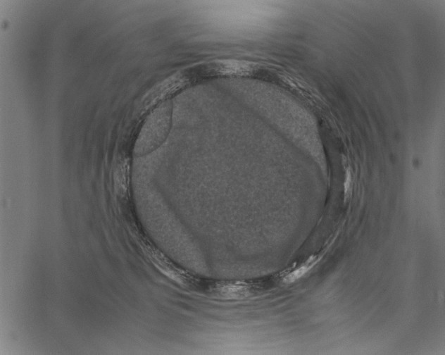 X0000066940325200604211756