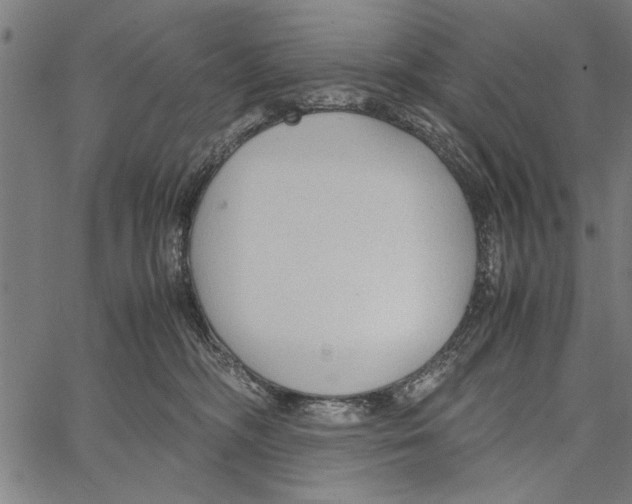 X0000066940326200604211756