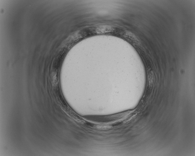 X0000066940327200604211756