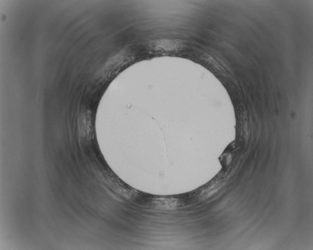 X0000066940328200604211756