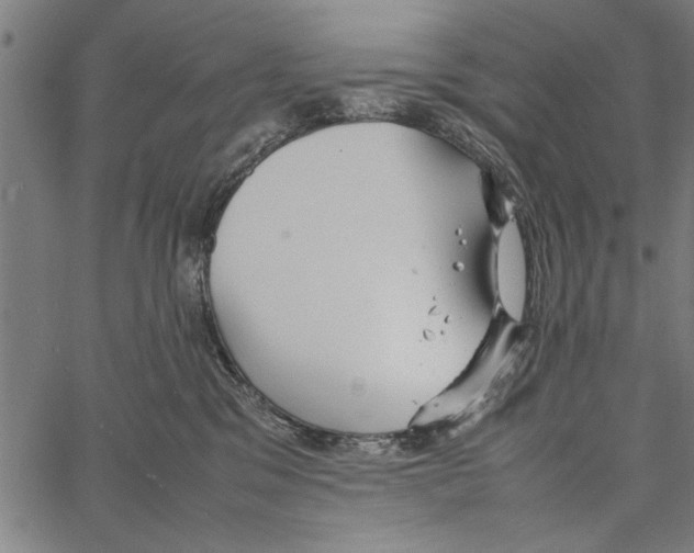 X0000066940329200604211756