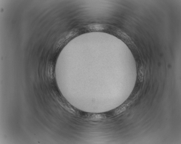 X0000066940330200604211756