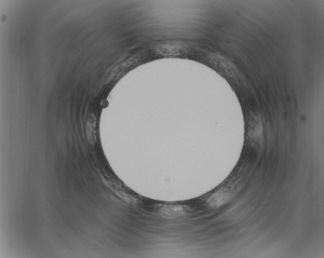 X0000066940332200604211756