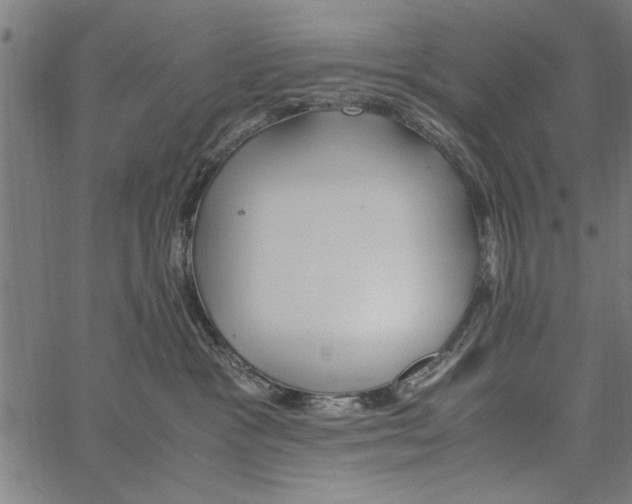 X0000066940333200604211756