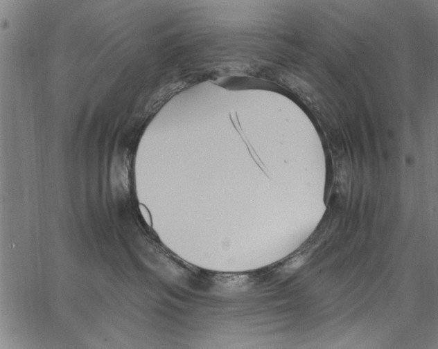 X0000066940334200604211756