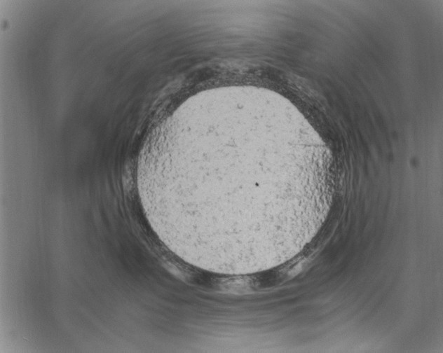 X0000066940335200604211756