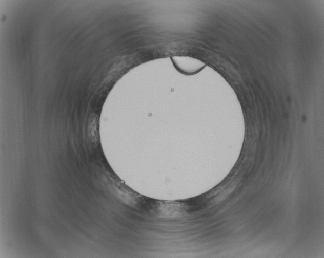 X0000066940336200604211756