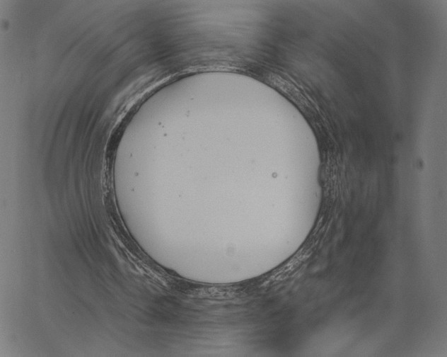 X0000066940338200604211755