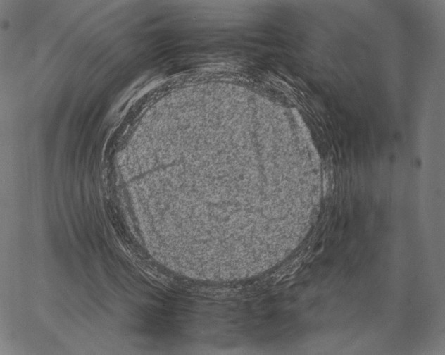 X0000066940339200604211755