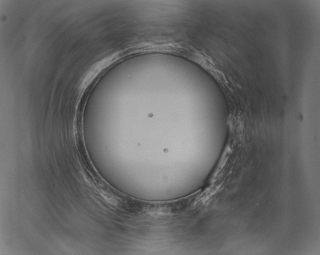 X0000066940340200604211755