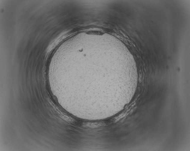 X0000066940341200604211755