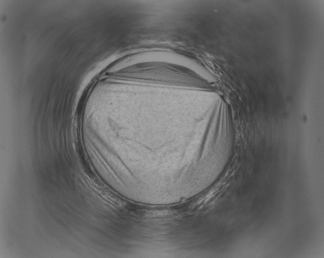 X0000066940342200604211755