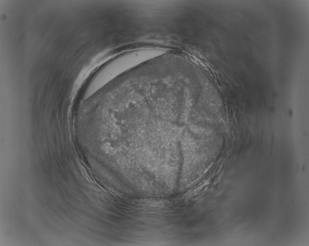 X0000066940343200604211755