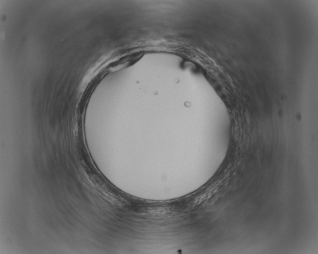 X0000066940344200604211755