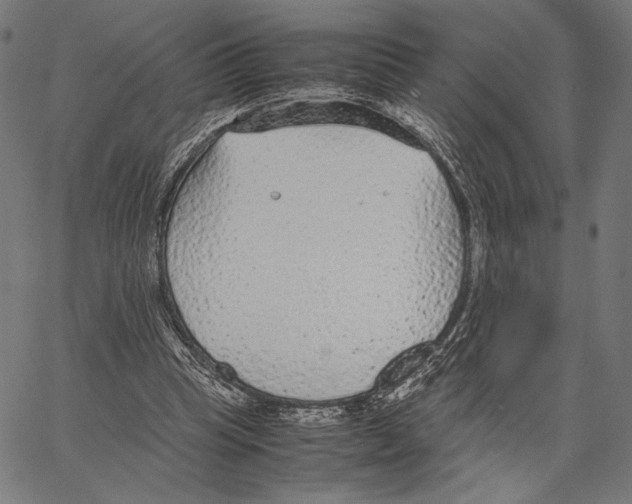 X0000066940345200604211755