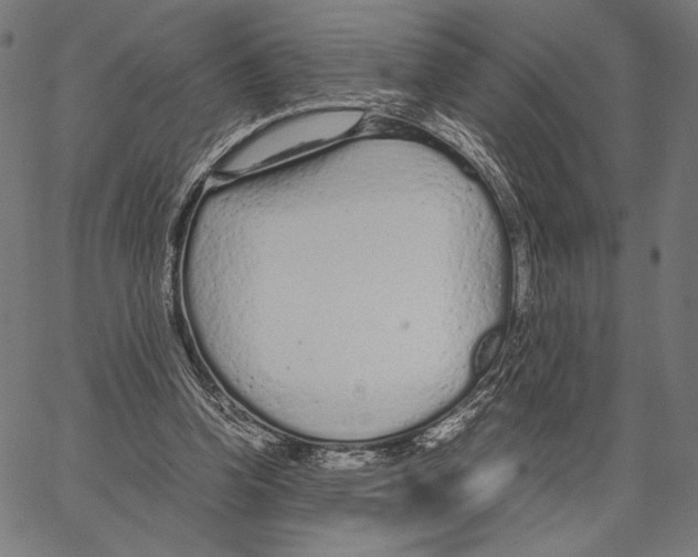 X0000066940346200604211755