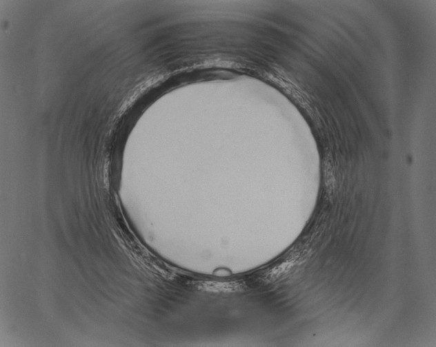 X0000066940347200604211755