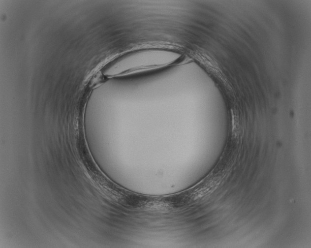 X0000066940348200604211755