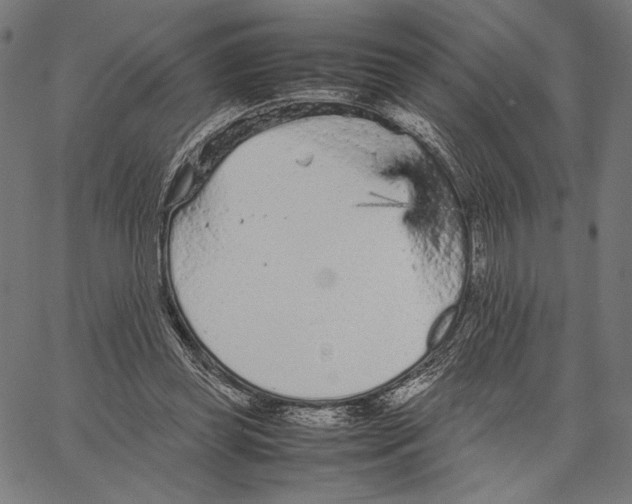 X0000066940349200604211755