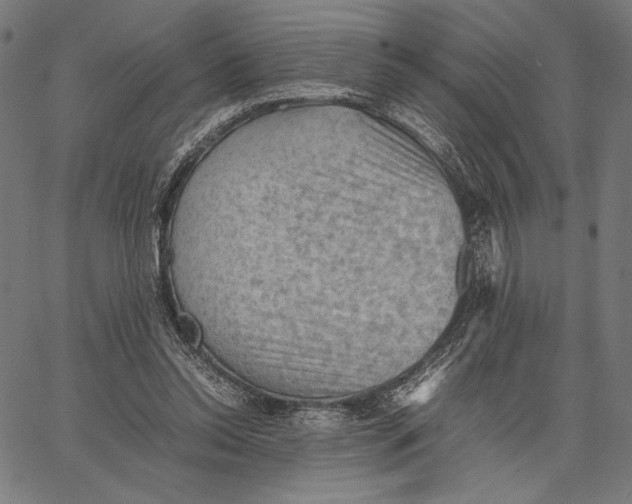 X0000066940350200604211755