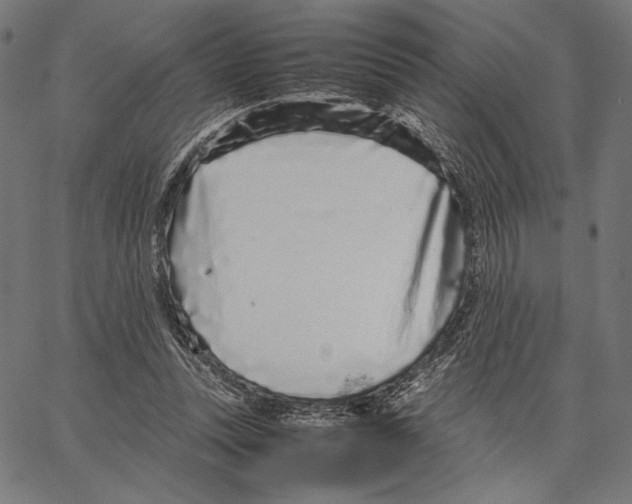 X0000066940351200604211755